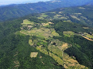 Type de propriété : Ferme Chiassa Superiore Environnement 33