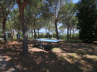 Casa de campo Chiassa Superiore  22