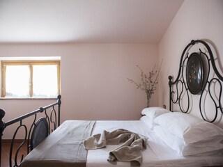 Fattoria Chiassa Superiore Caratteristiche 15