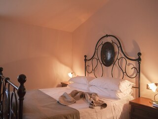 Fattoria Chiassa Superiore Caratteristiche 17