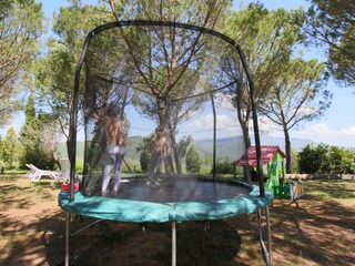 Fattoria Chiassa Superiore  40