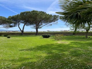 Type de propriété : Ferme Chiassa Superiore Environnement 25