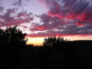 Fattoria Chiassa Superiore Ambiente 26