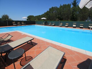 Fattoria Chiassa Superiore Registrazione all'aperto 4