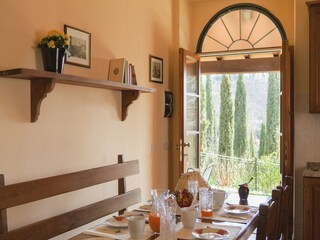 Fattoria Chiassa Superiore Caratteristiche 12
