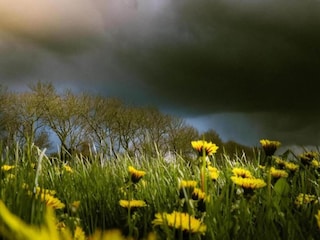 Vakantiepark Delfstrahuizen Omgeving 38