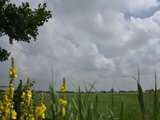 Vakantiepark Delfstrahuizen Omgeving 23