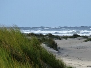 Casa per le vacanze De Cocksdorp Ambiente 21