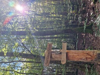 Rotenstein-Wildsaufelsen