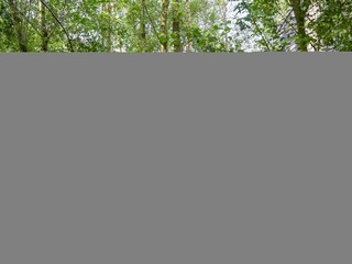 Type de propriété : Chalet Antoing Équipement 10