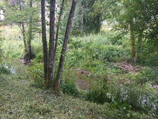 Parque de vacaciones Schönecken Entorno 19