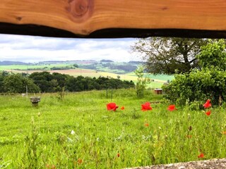 Vakantiepark Schönecken Omgeving 25