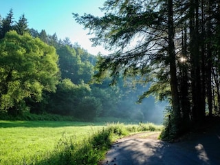 Ferienpark Schönecken Umgebung 8