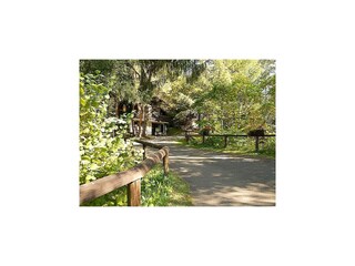 Ferienpark Schönecken Umgebung 11