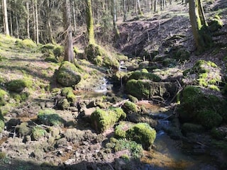 Parc de vacances Schönecken Environnement 9