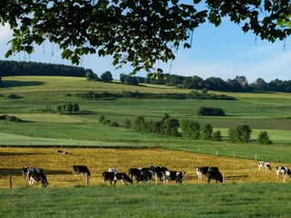 Ferienpark Schönecken Umgebung 13