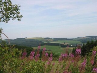 Parc de vacances Schönecken Environnement 14