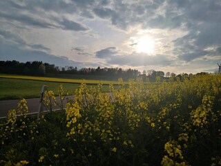 Parc de vacances Schönecken Environnement 25