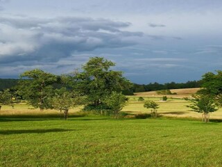 Parc de vacances Schönecken Environnement 15