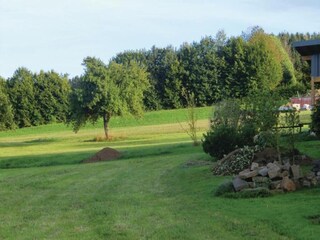 Parc de vacances Schönecken Environnement 17