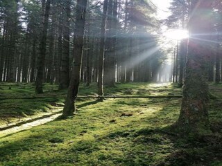 Ferienhaus Hautefort Umgebung 37