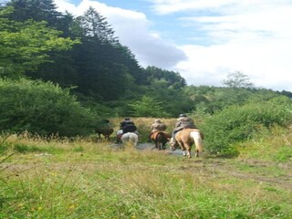 Holiday house Hautefort Environment 37