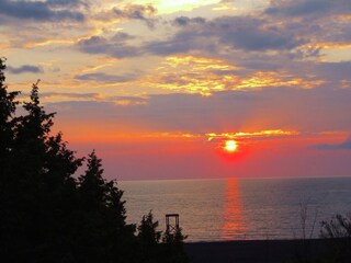 Casa per le vacanze Donoratico Registrazione all'aperto 13