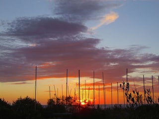 Ferienhaus Donoratico Umgebung 31