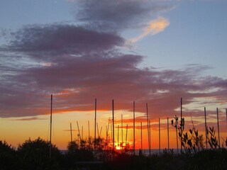 Vakantiehuis Donoratico Omgeving 34