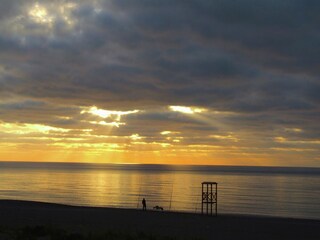 Casa de vacaciones Donoratico Entorno 36