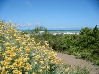 Holiday house Castagneto Carducci Environment 35