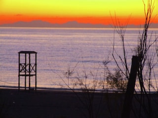 Holiday house Castagneto Carducci Environment 34