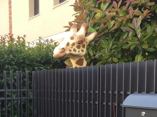 Ferienhaus Salò Außenaufnahme 4