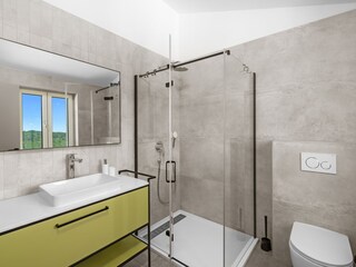 Villa Pazin Caratteristiche 39