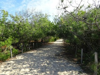 Maison de vacances Moulis-en-Médoc Environnement 19