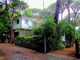 Ferienhaus Castagneto Carducci Außenaufnahme 2
