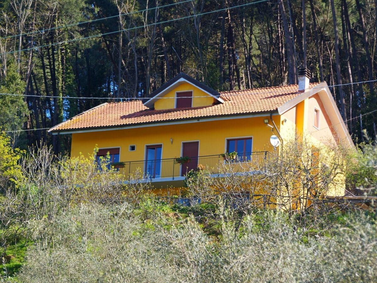 Ferienhaus Massa e Cozzile Außenaufnahme 1