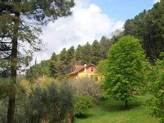 Ferienhaus Uzzano Außenaufnahme 8