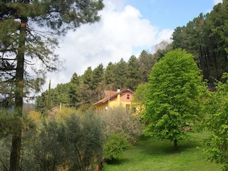 Maison de vacances Uzzano Enregistrement extérieur 8