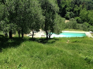Vakantiehuis Uzzano Buitenaudio-opname 13