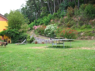 Vakantiehuis Uzzano Buitenaudio-opname 12