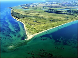 NSG Geltinger Birk an der Ostsee