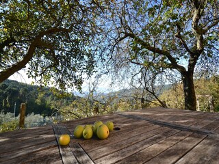 Casa per le vacanze Uzzano  35