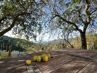 Ferienhaus Uzzano  39