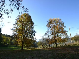 Holiday house Uzzano Outdoor Recording 5