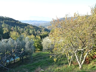 Ferienhaus Massa e Cozzile Außenaufnahme 6