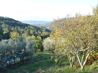 Ferienhaus Uzzano Außenaufnahme 14