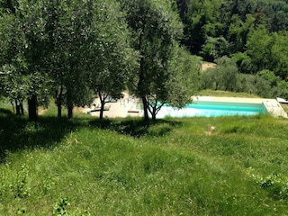 Ferienhaus Massa e Cozzile Außenaufnahme 1