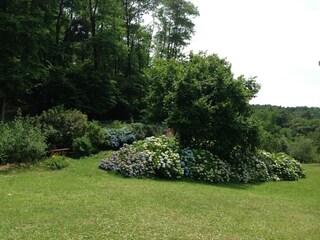 Ferienhaus Massa e Cozzile Außenaufnahme 10