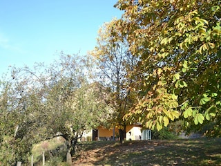 Ferienhaus Uzzano Außenaufnahme 8